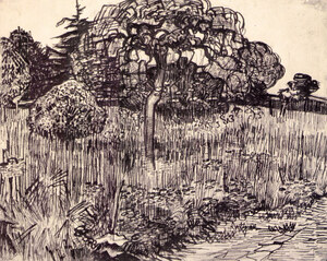 Tree in a meadow